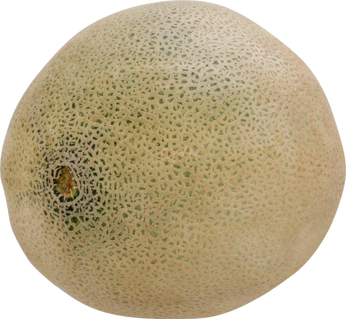 Organic Cantaloupe