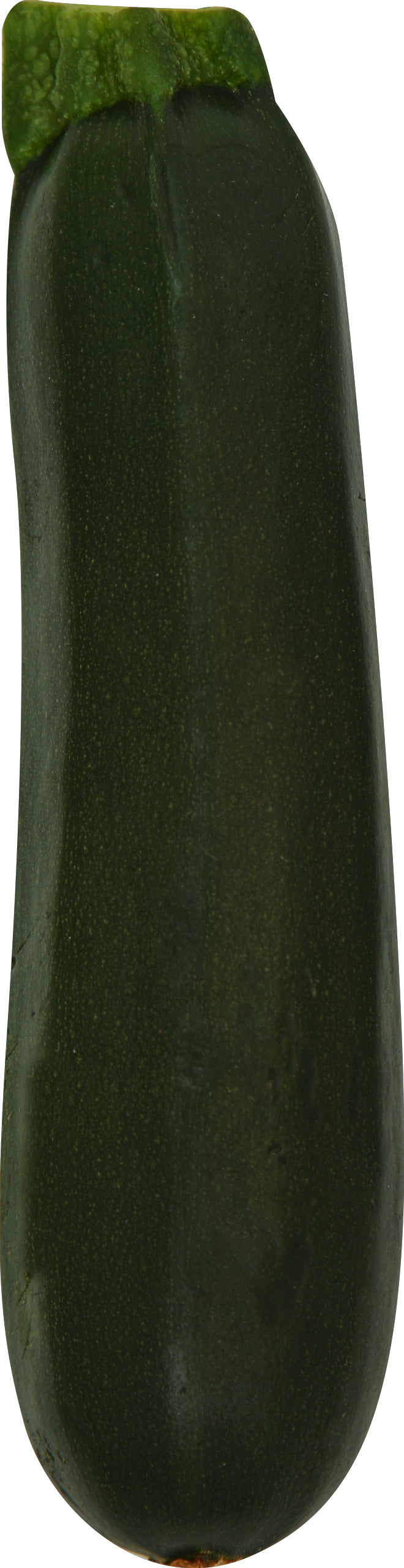 Organic Zucchini