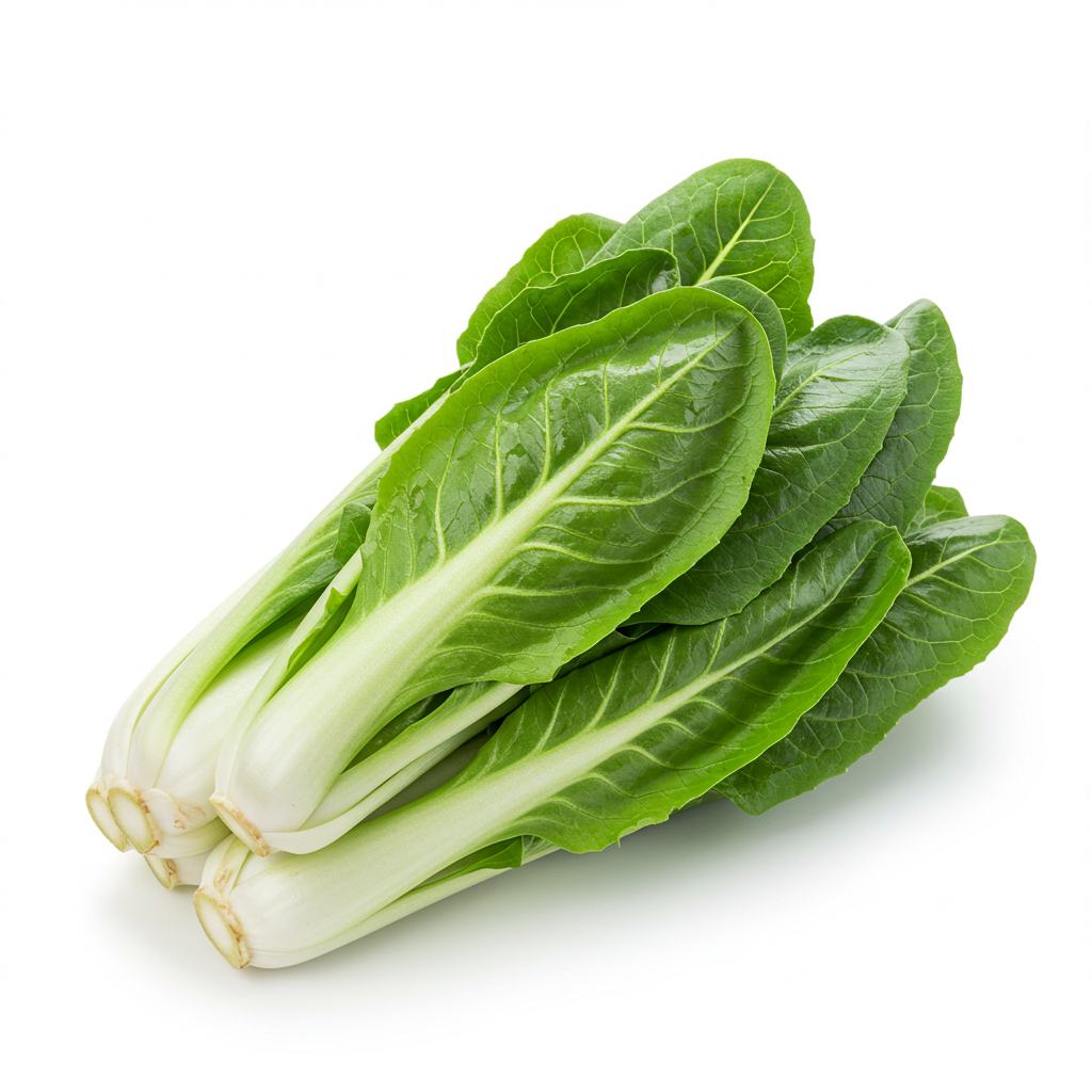 Escarole