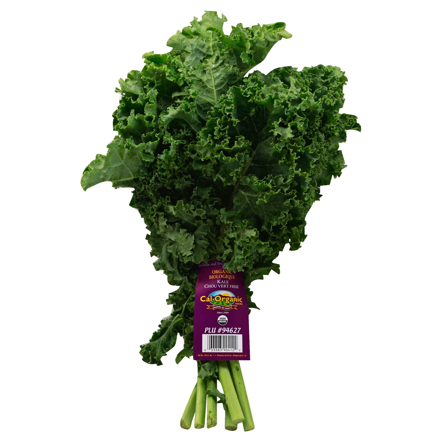Organic Green Kale