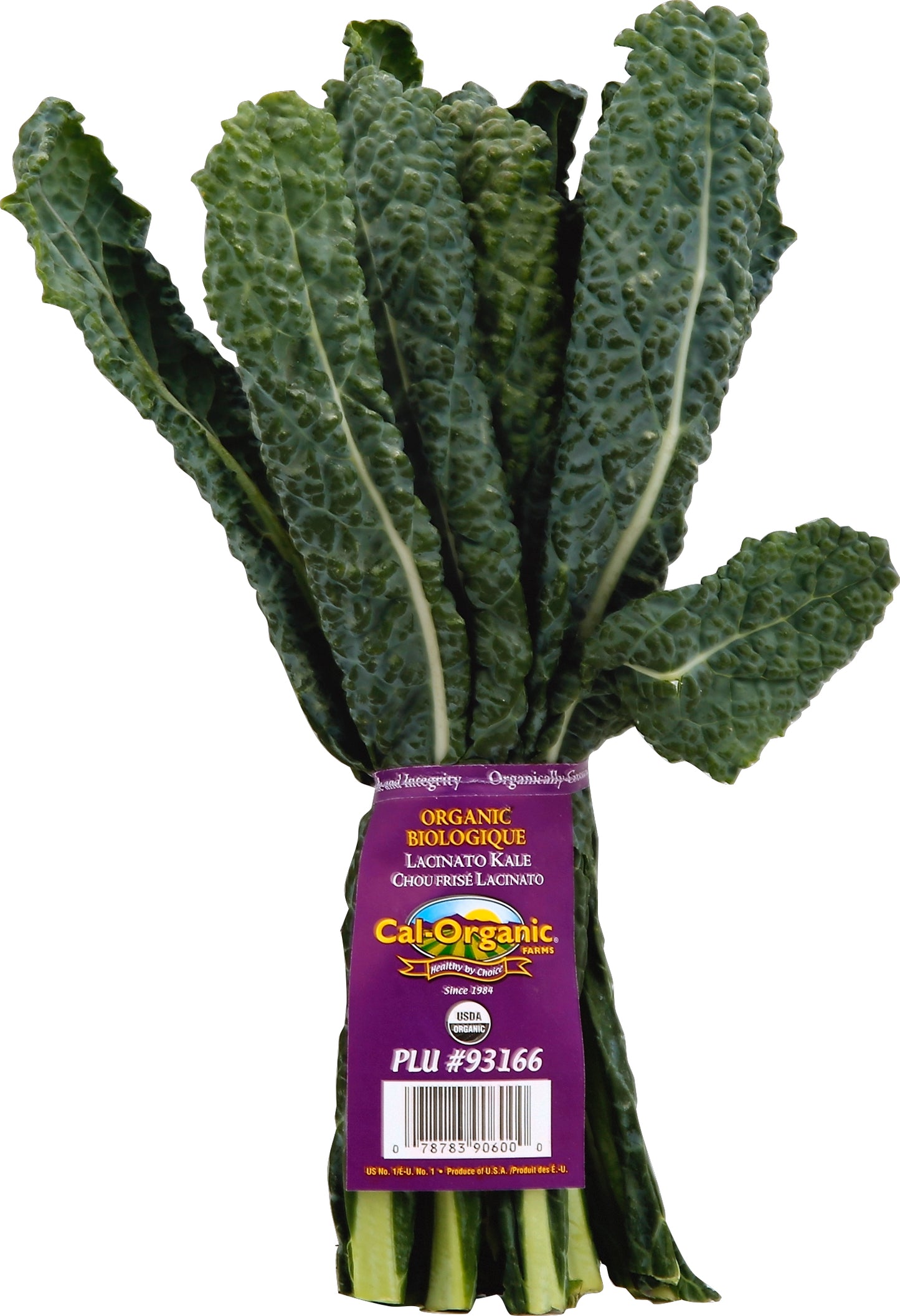 Cal Organic Farms CAL-ORGANIC FARM KALE LACINATO 1 CT
