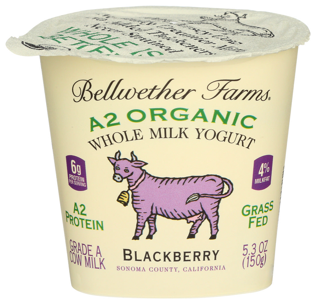 Bellwether Farms, Organic Bf Wm Yogurt Blackberry, 5.3 Oz