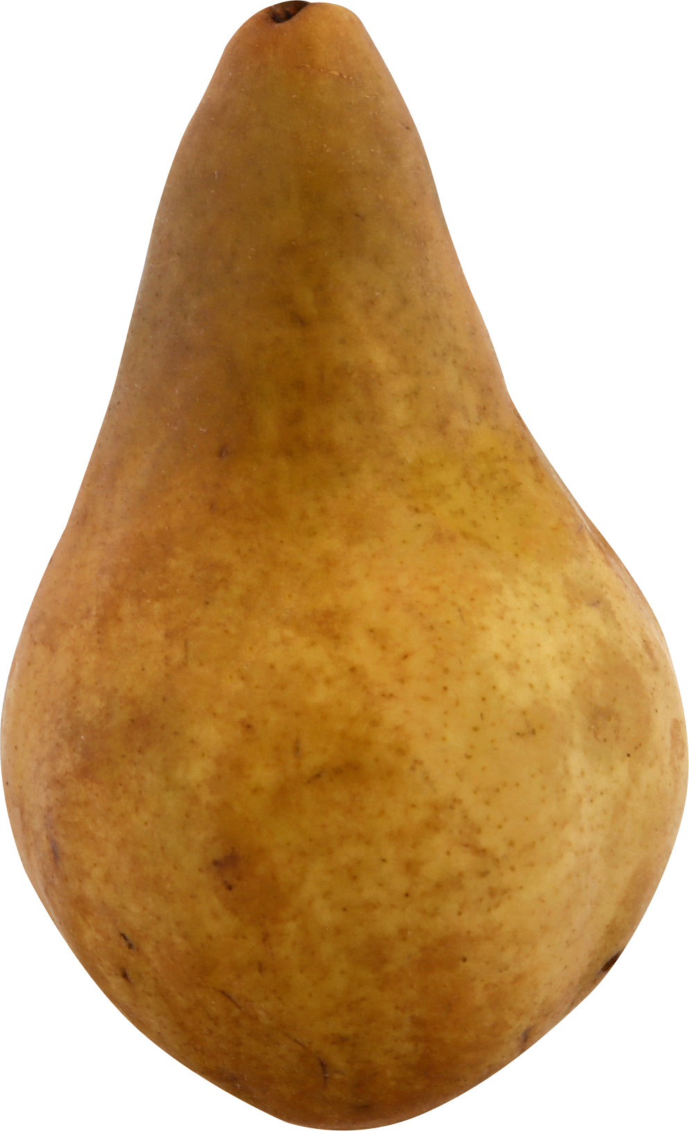 Organic Bosc Pear