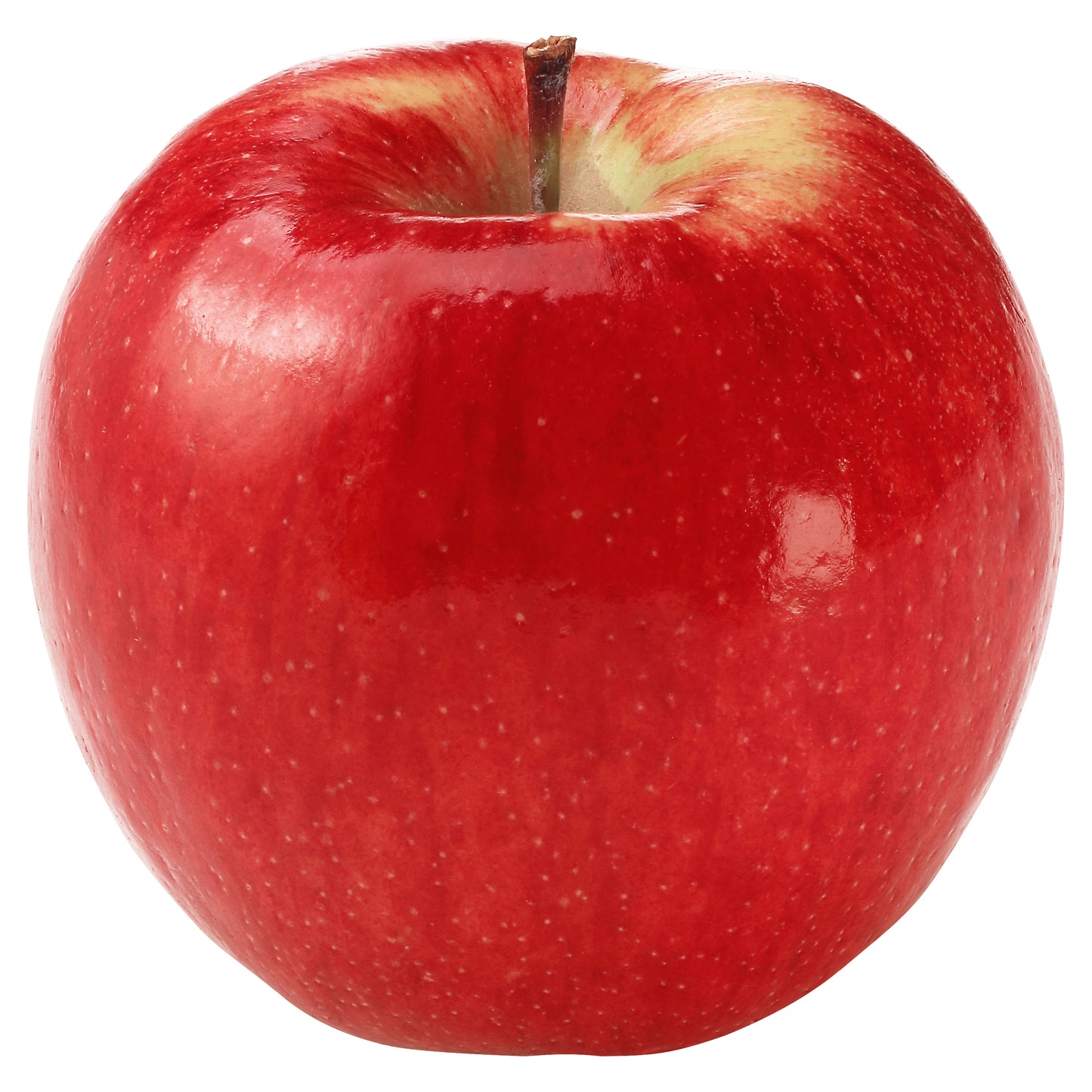 Envy Apple