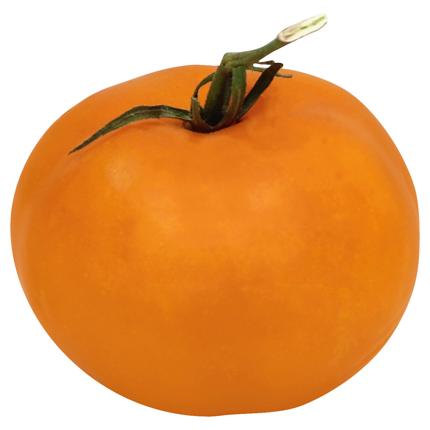 Organic Roma Tomatoes