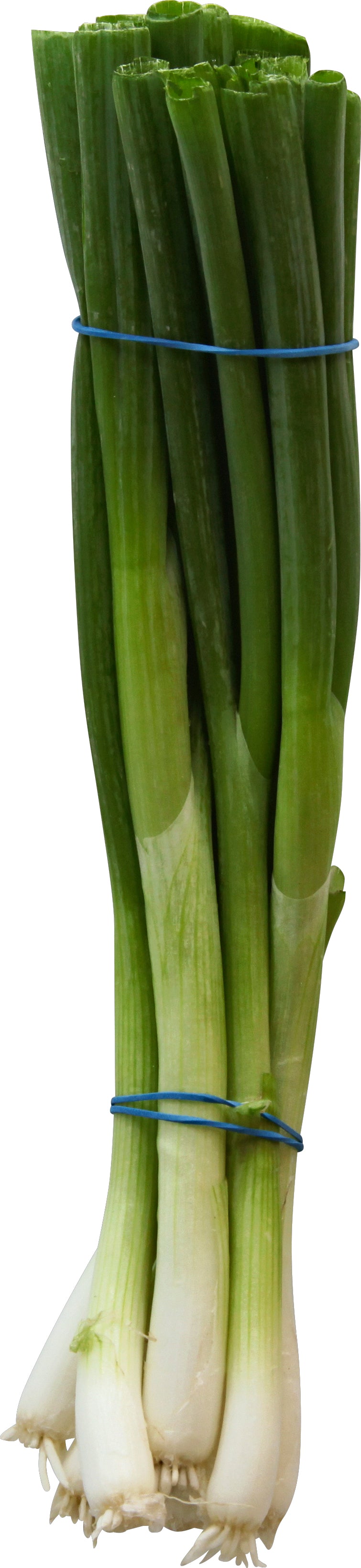 Organic Gareen Onions