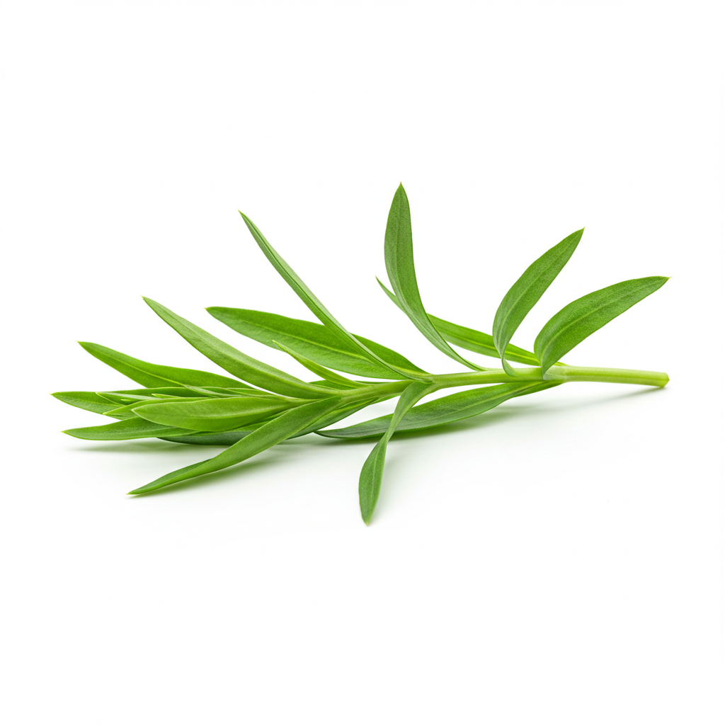 Organic Tarragon