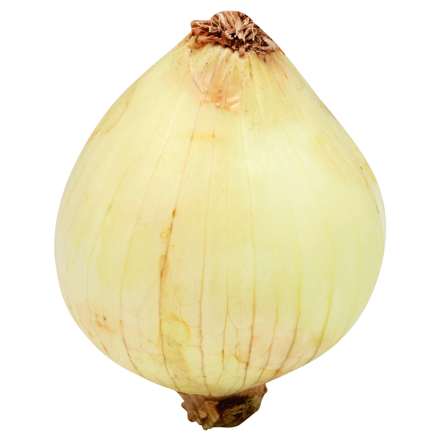 Organic Yellow Onion
