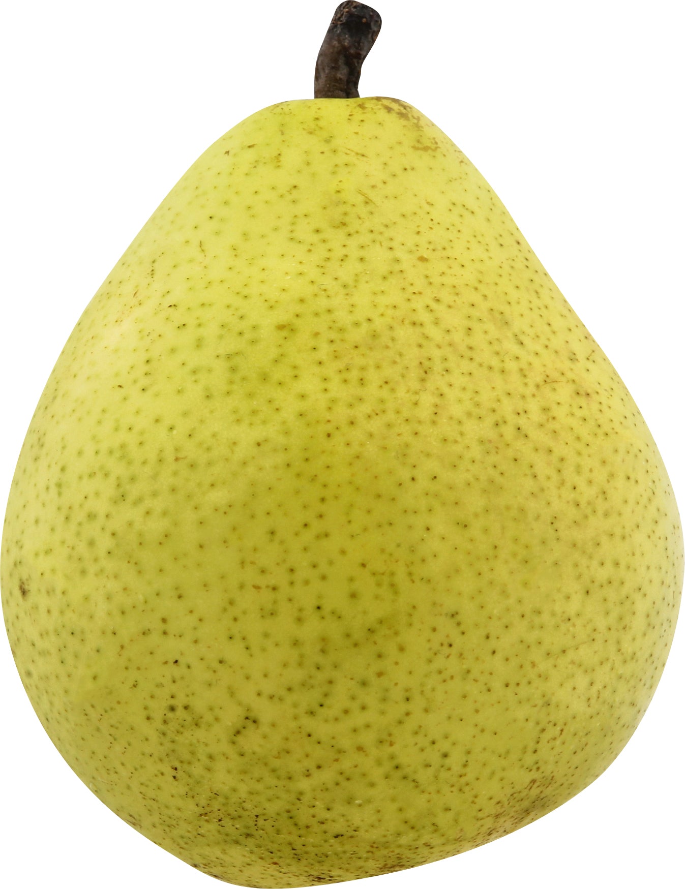 Organic Anjou Pear