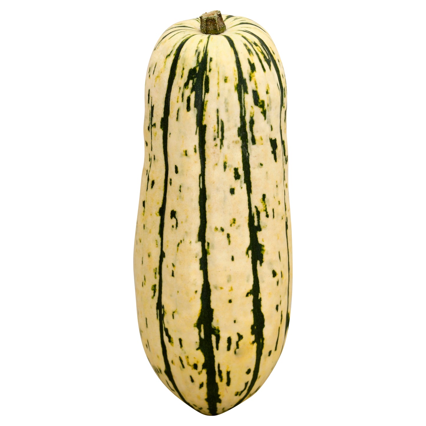Organic Delicata Squash