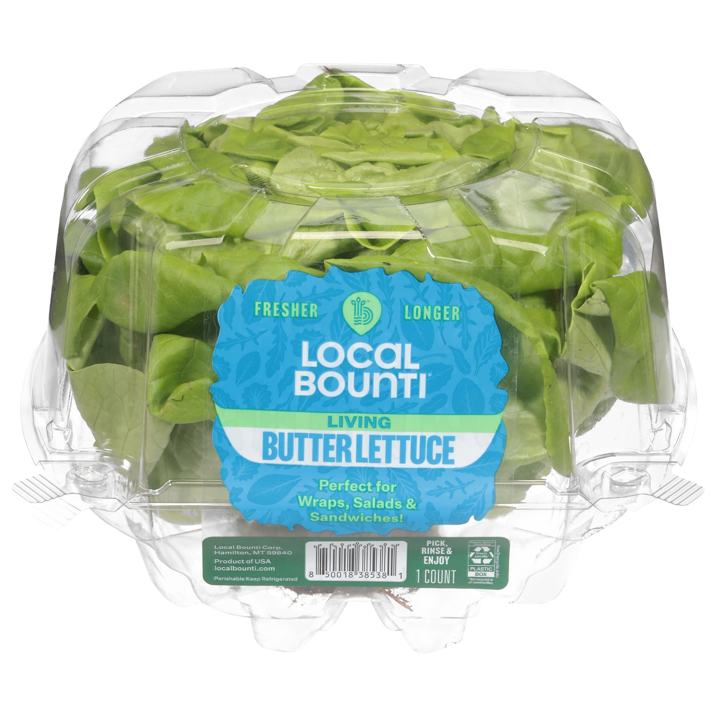 Local Bounti Butter Living Lettuce 1 Each