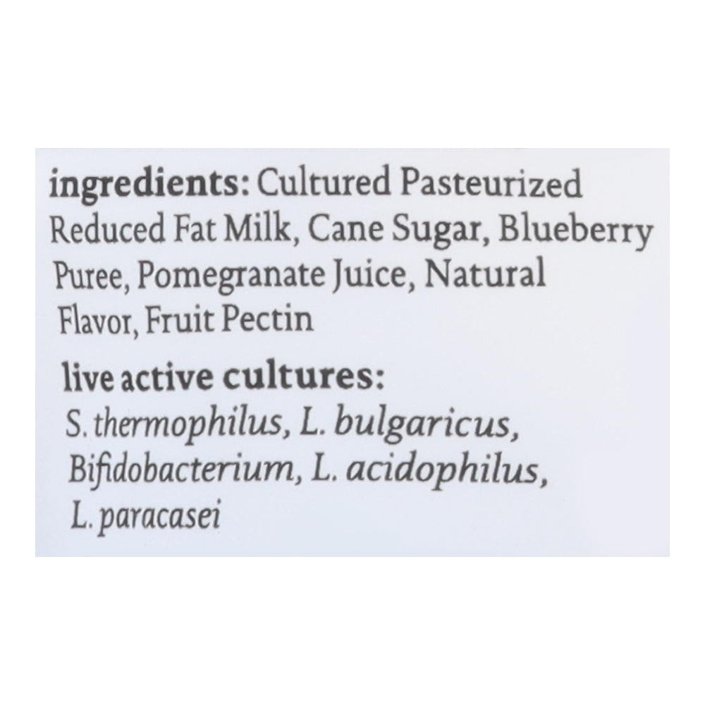 Siggi's Blueberry Pomegranate Protein Pack 4.5 oz
