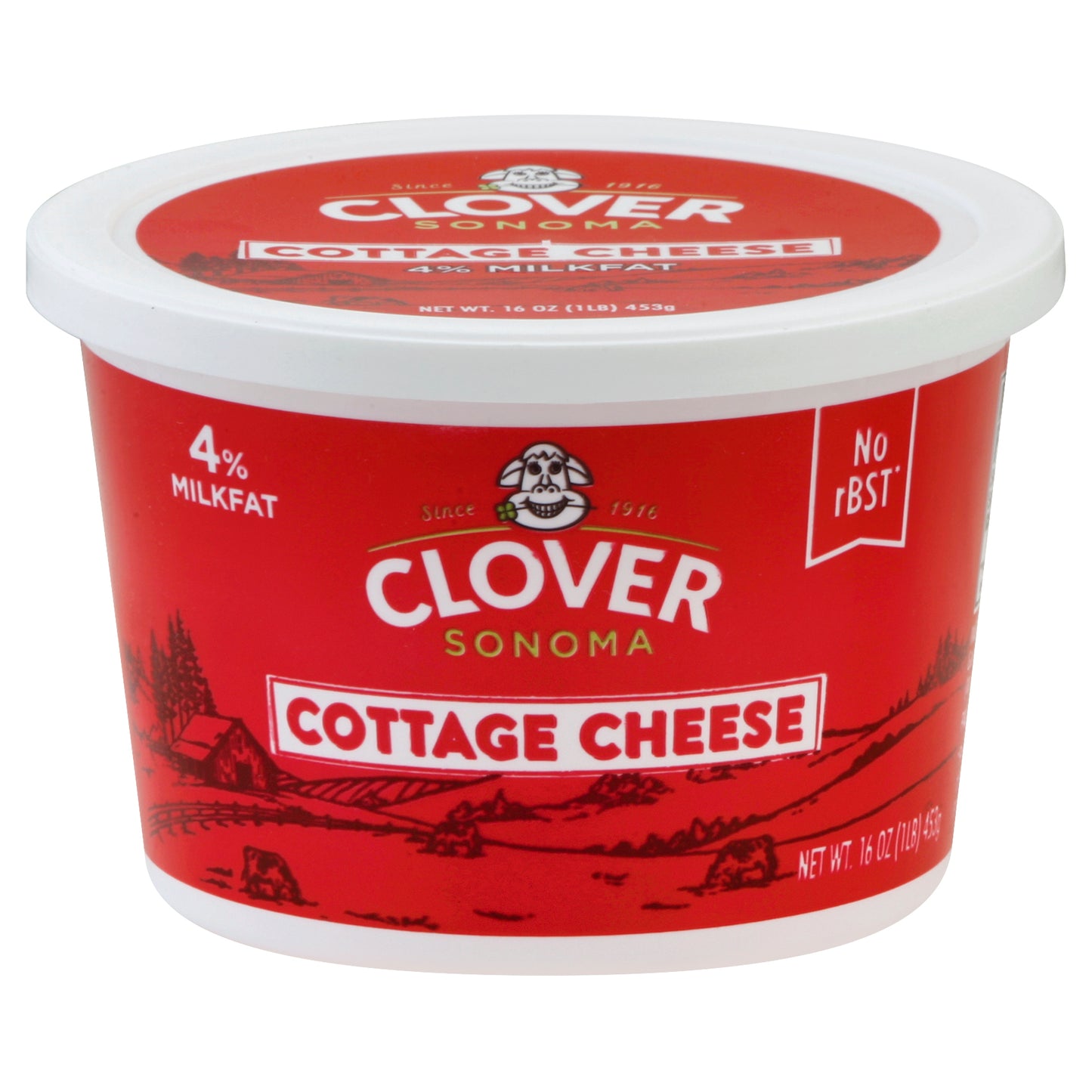 Clover Cottage Cheese 16 oz
