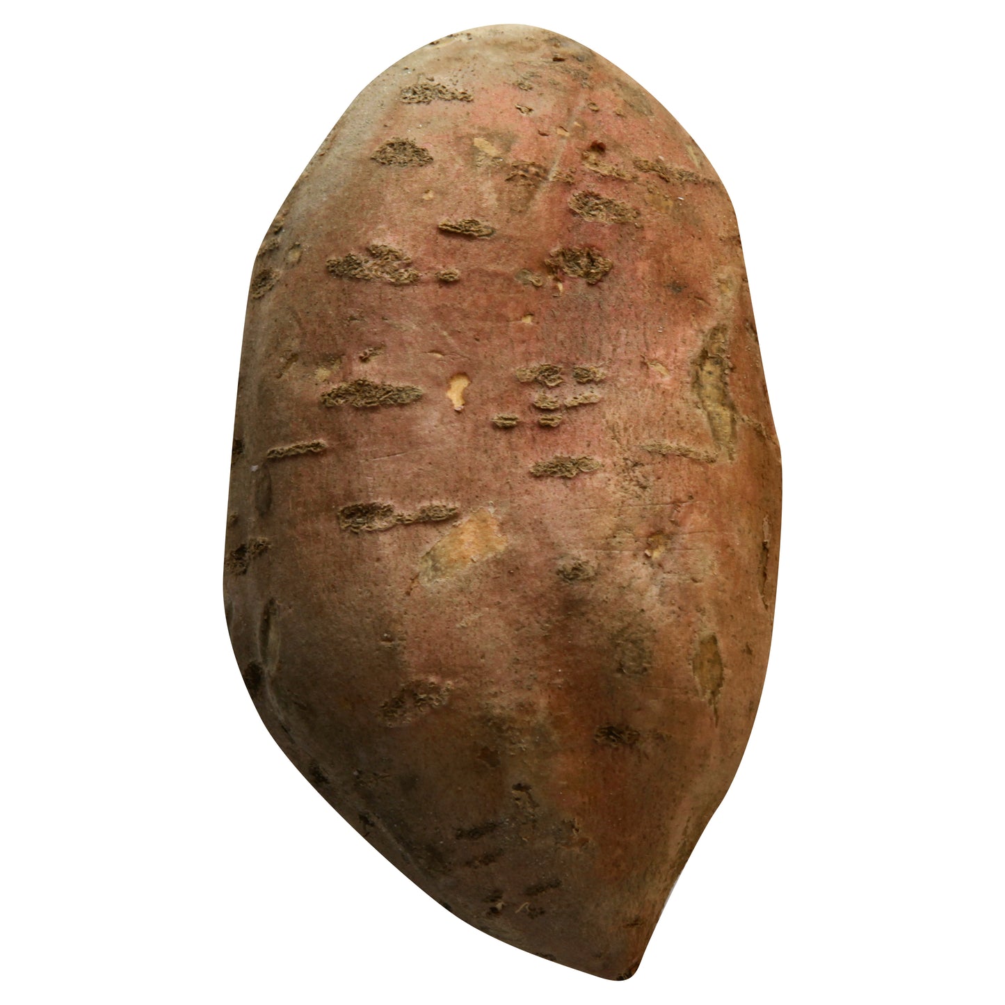 Organic Sweet Potato