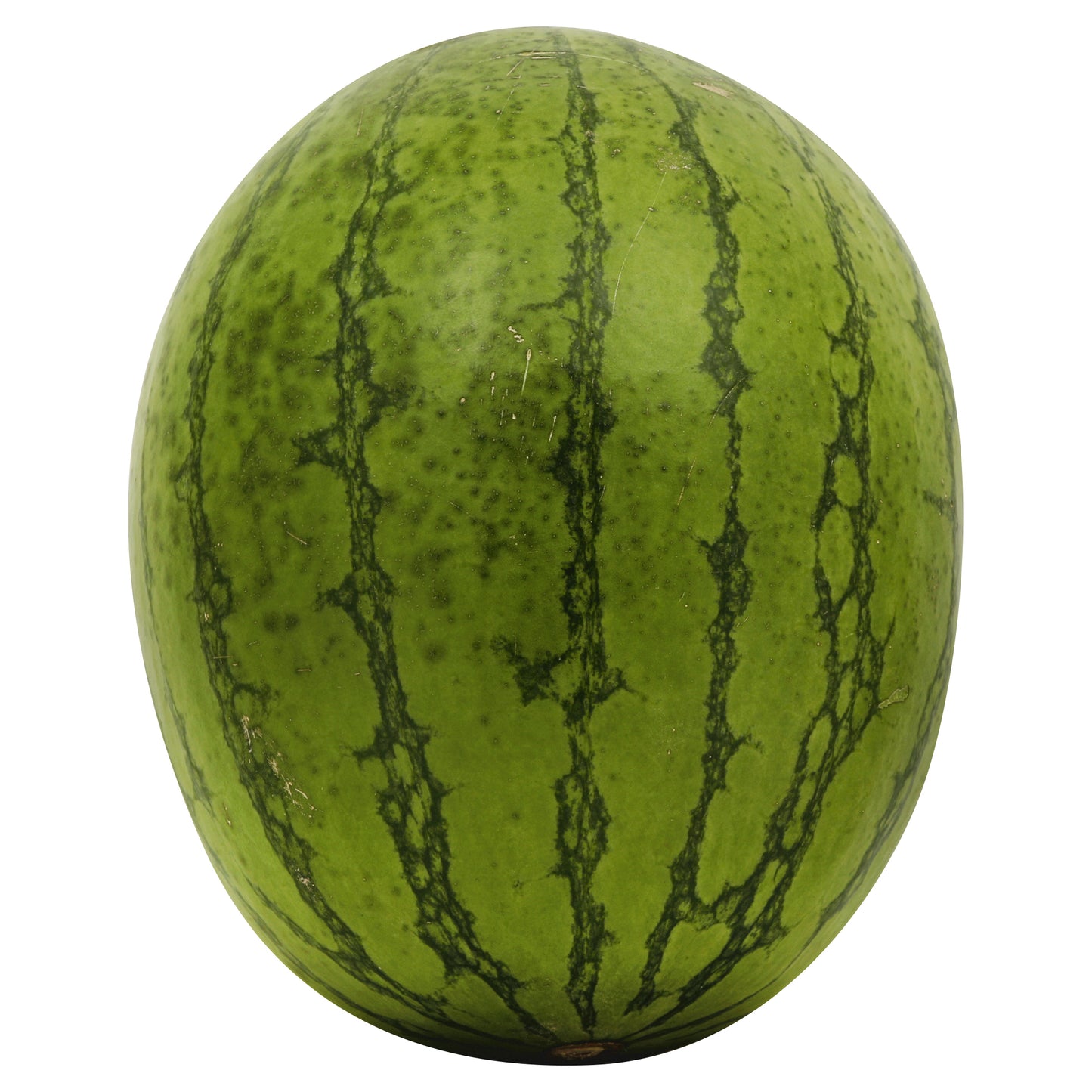 Yellow Mini Watermelon