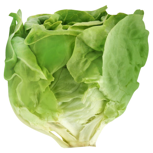 Organic Green Butter Lettuce