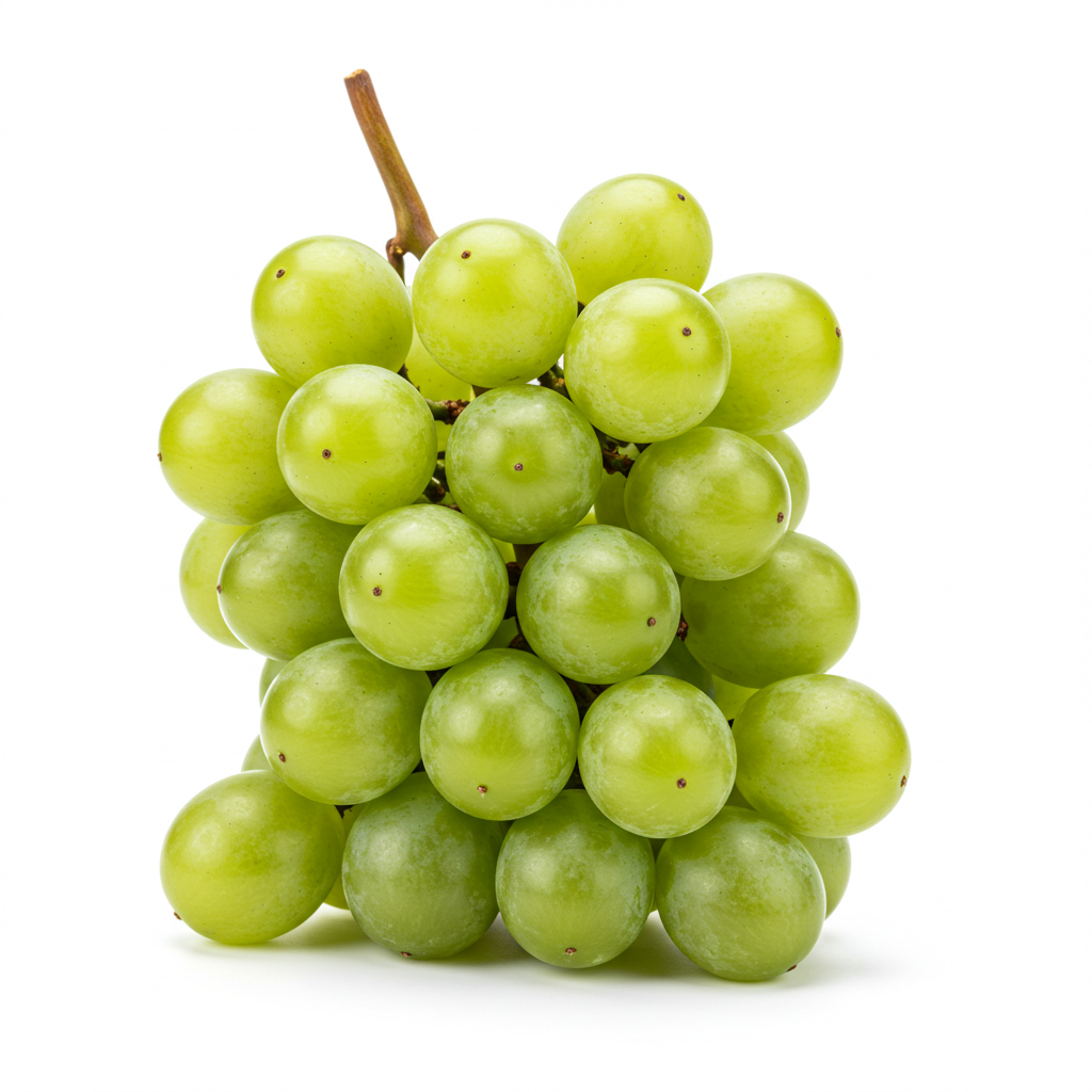 Champagne Grapes