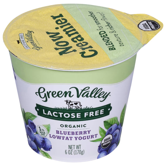 Green Valley Lactose Free Lowfat Organic Blueberry Yogurt 6 oz