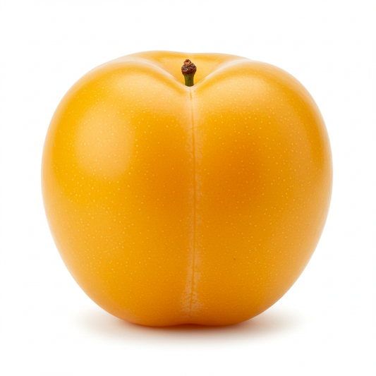 Golden Dragon Plum