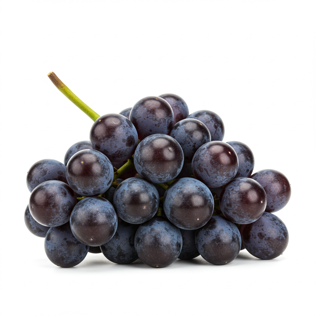 Concord Grape