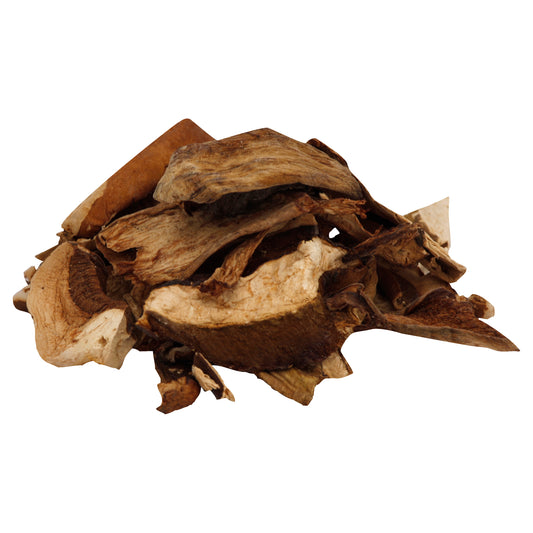 Cremini Mushroom