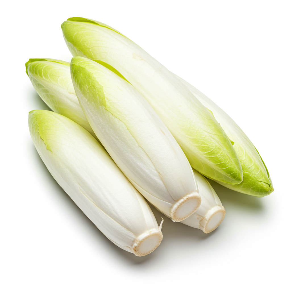 Belgium Endive