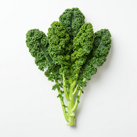Organic Lacianto Kale