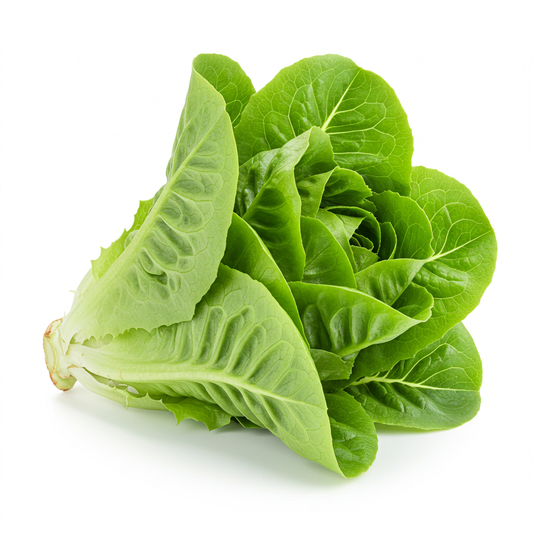 Little Gem Lettuce