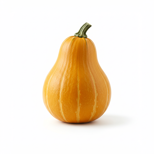 Honeynut Squash