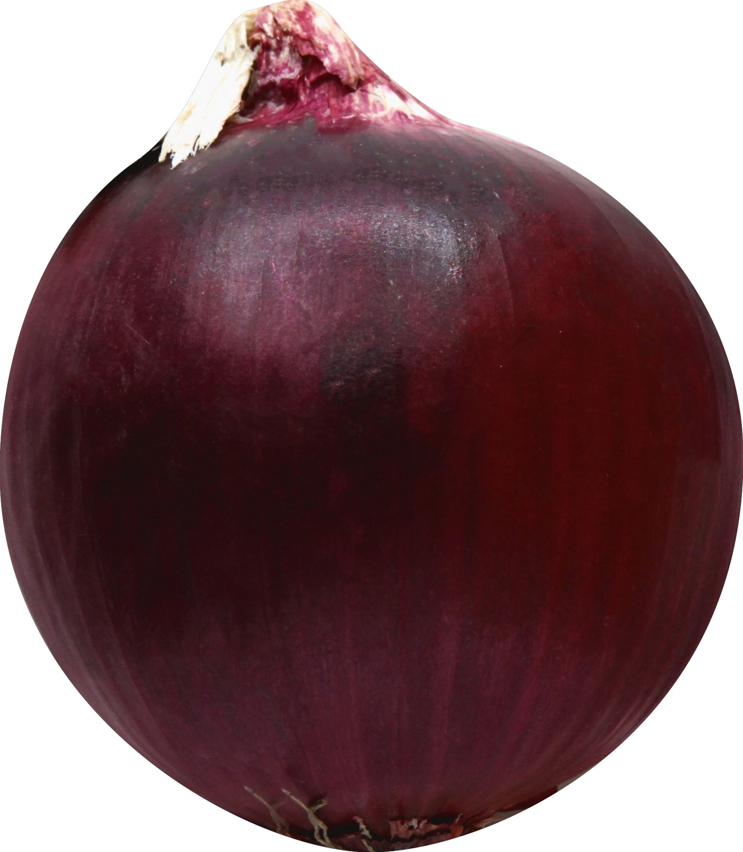 Organic Red Onion