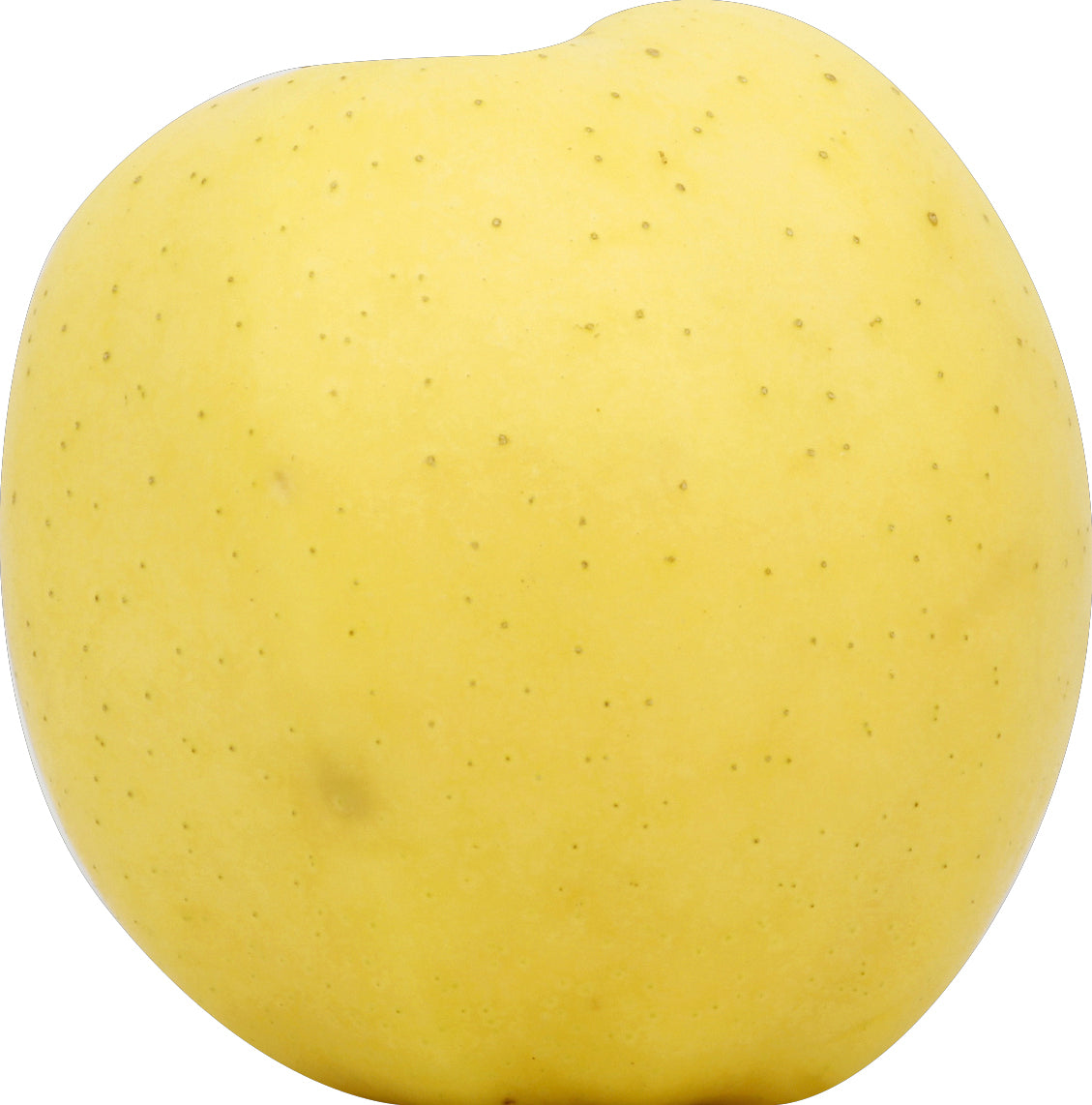 Golden Delicious Apple - Small