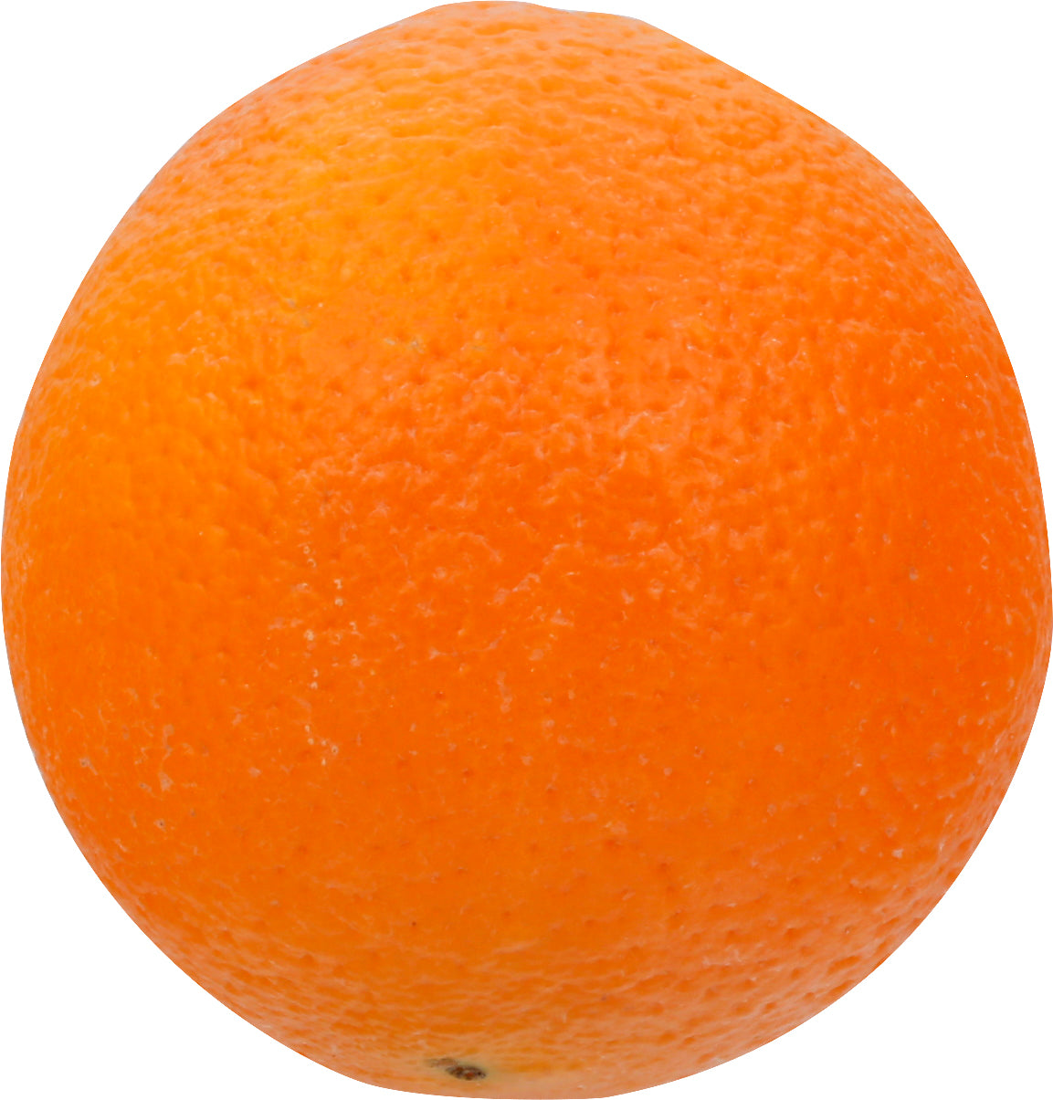 Navel Orange - Small