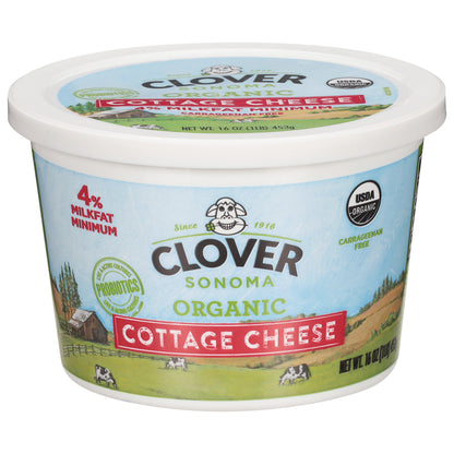 Clover Sonoma 4% Milkfat Minimum Organic Cottage Cheese 16 oz