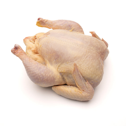 Chicken Broiler