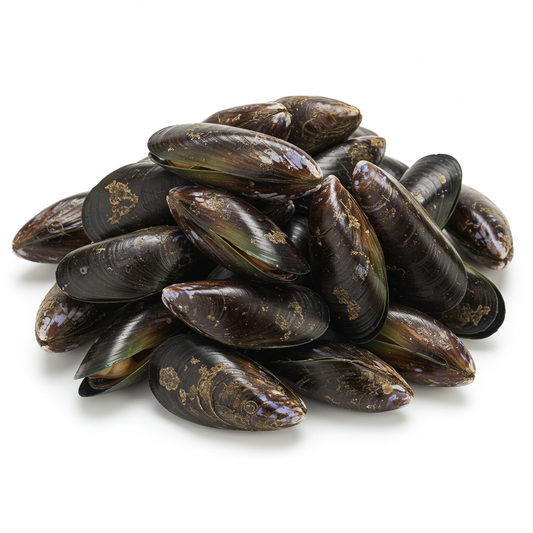 Mussels