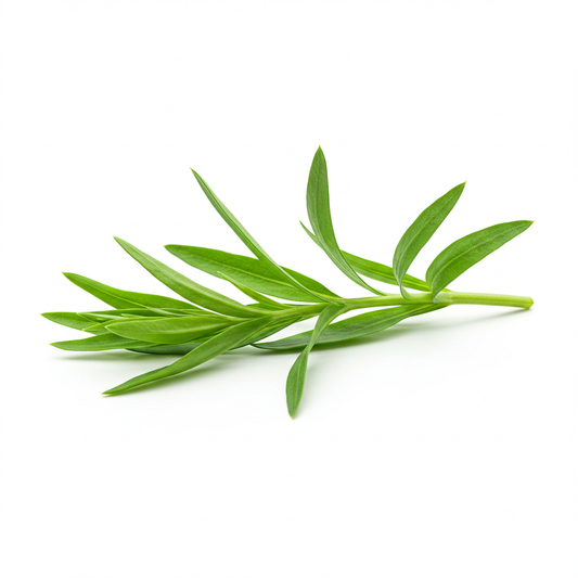 Organic Tarragon