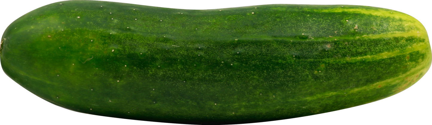 Organic Cucumber