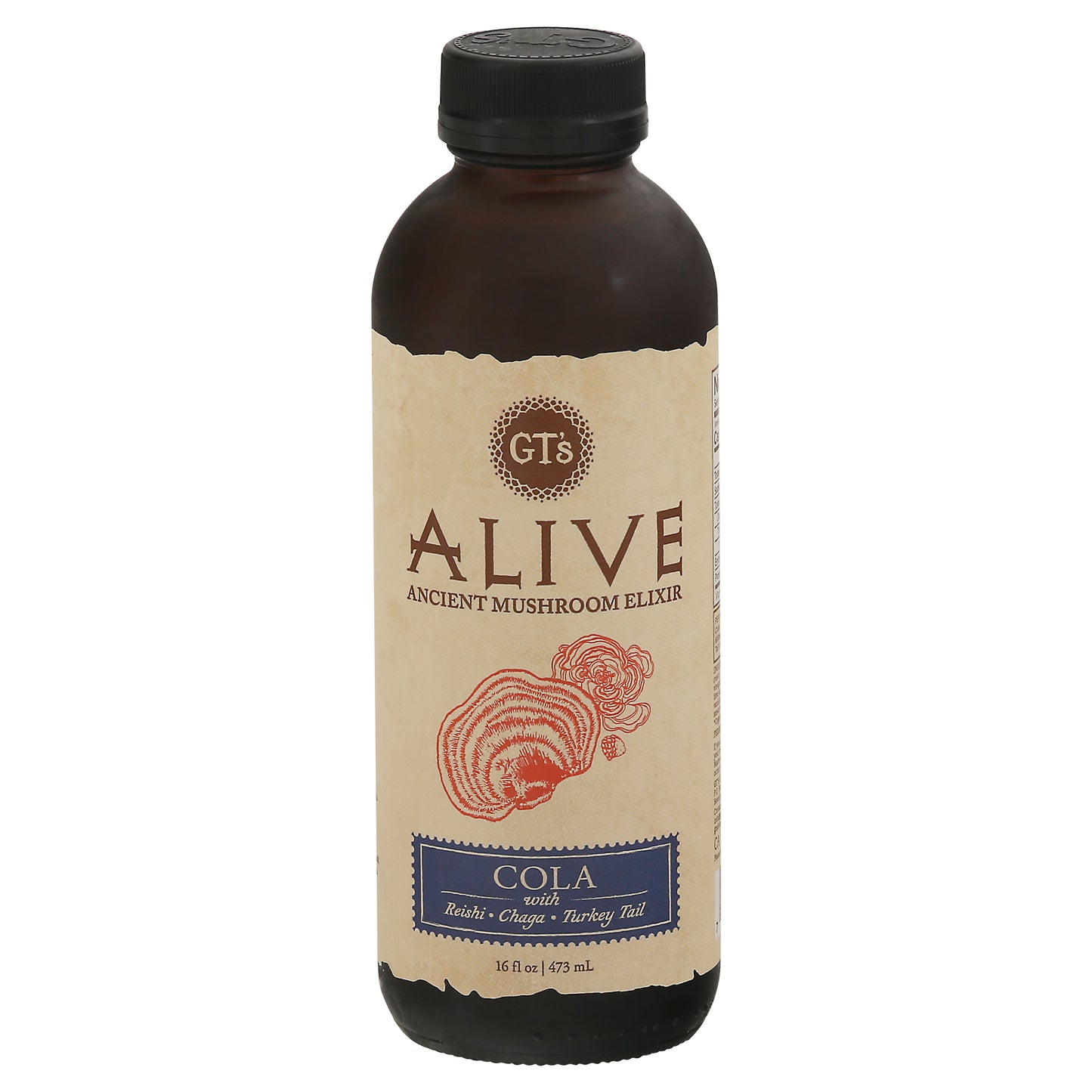 GT's Alive Cola Ancient Mushroom Elixir 16 fl oz