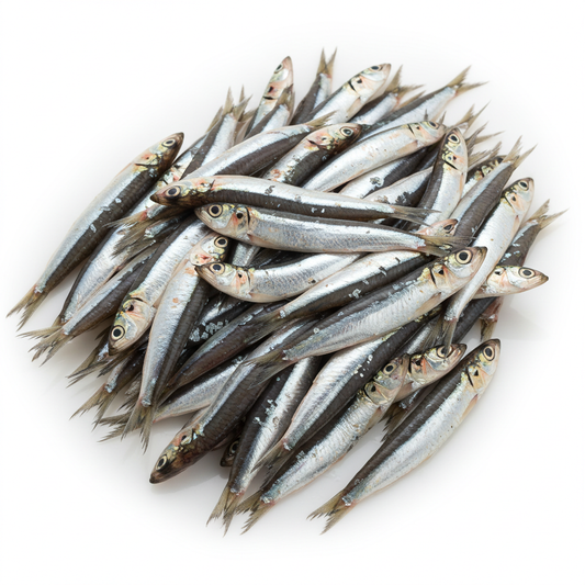 Anchovies