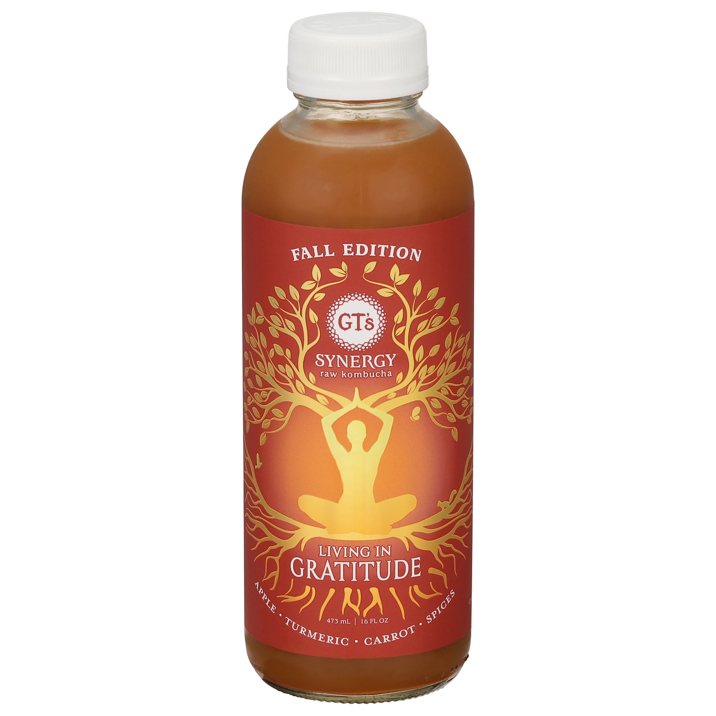 GT's Synergy Raw Living in Gratitude Kombucha 16 fl oz