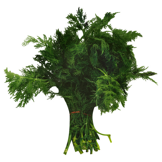 Dill