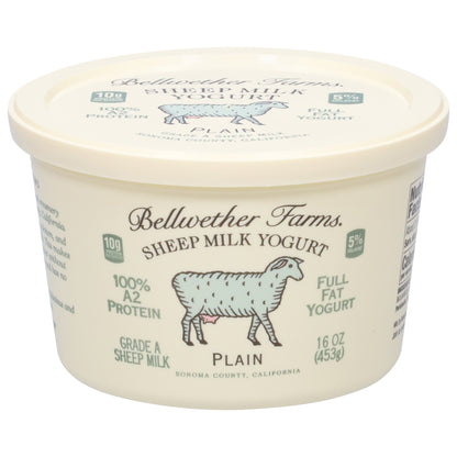 Bellwether Farms Full Fat Sheep Milk Plain Yogurt 16 oz