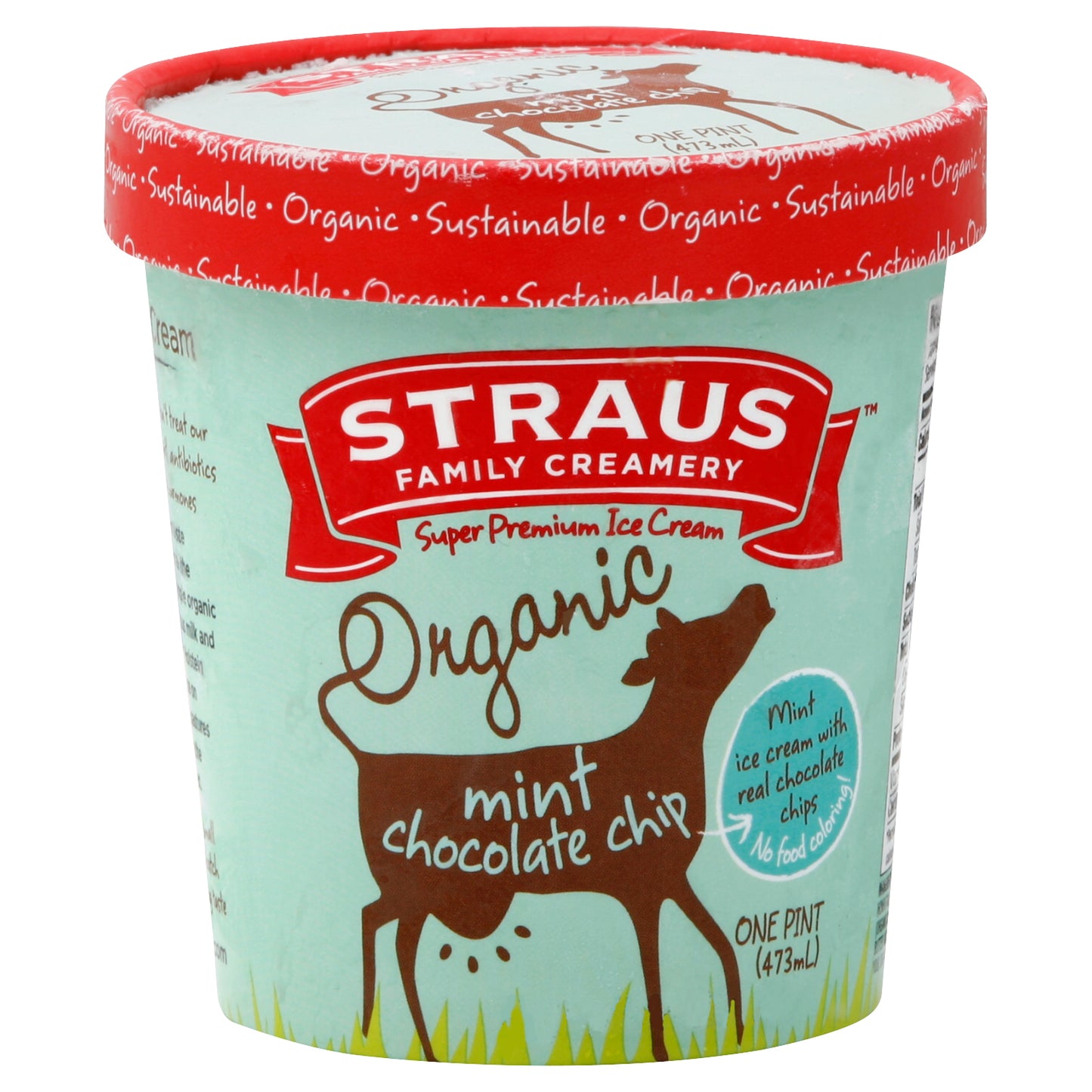 Straus Ice Cream 1 pt - Mint Choco Chip