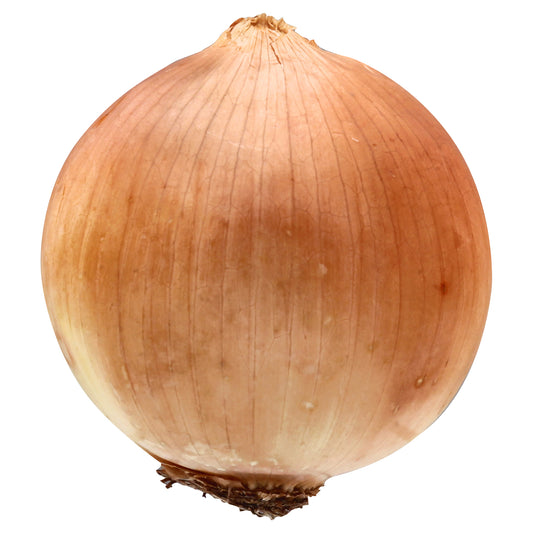 Pearl Yellow Onion