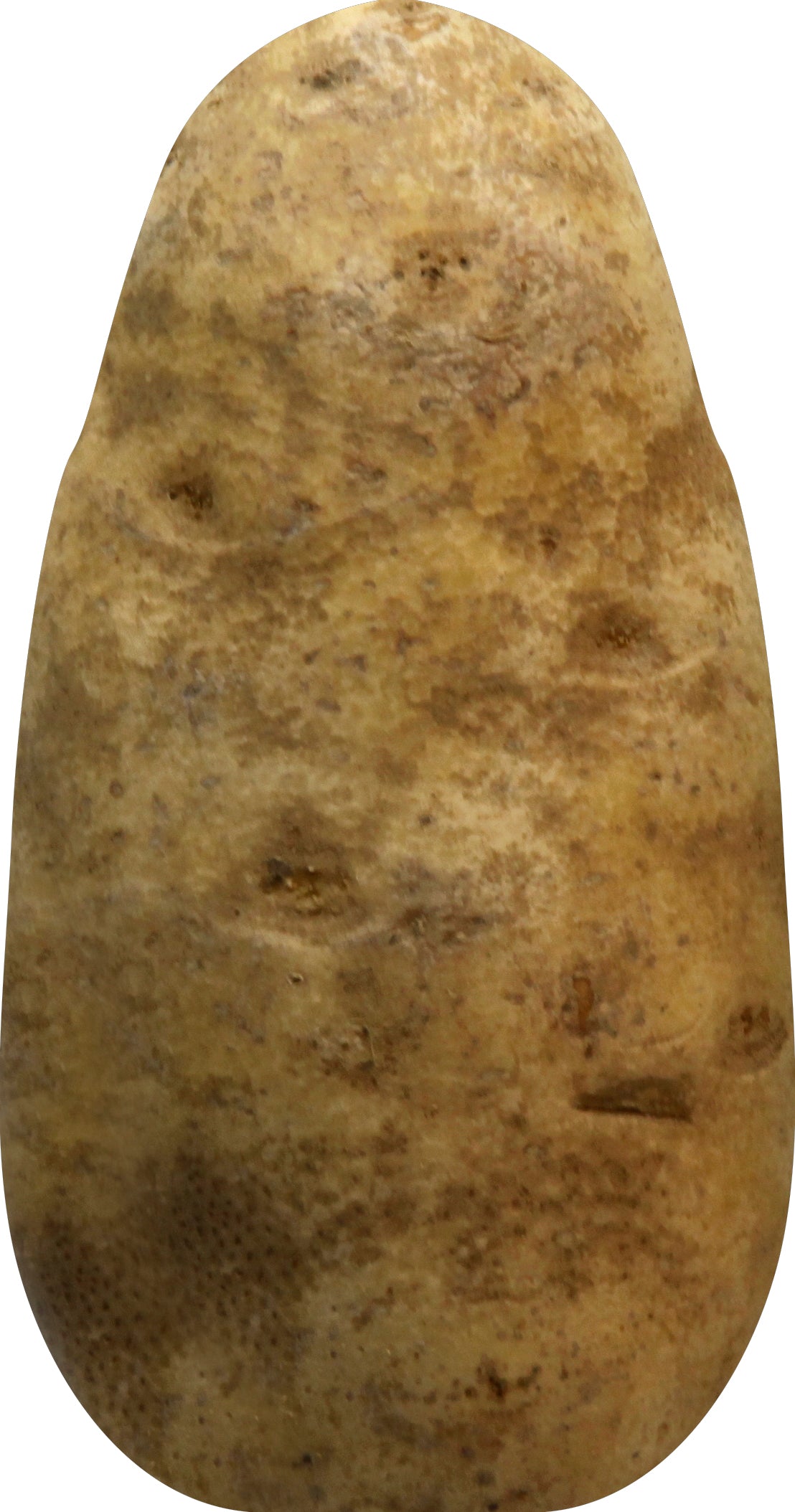 Organic Russet Potatoes