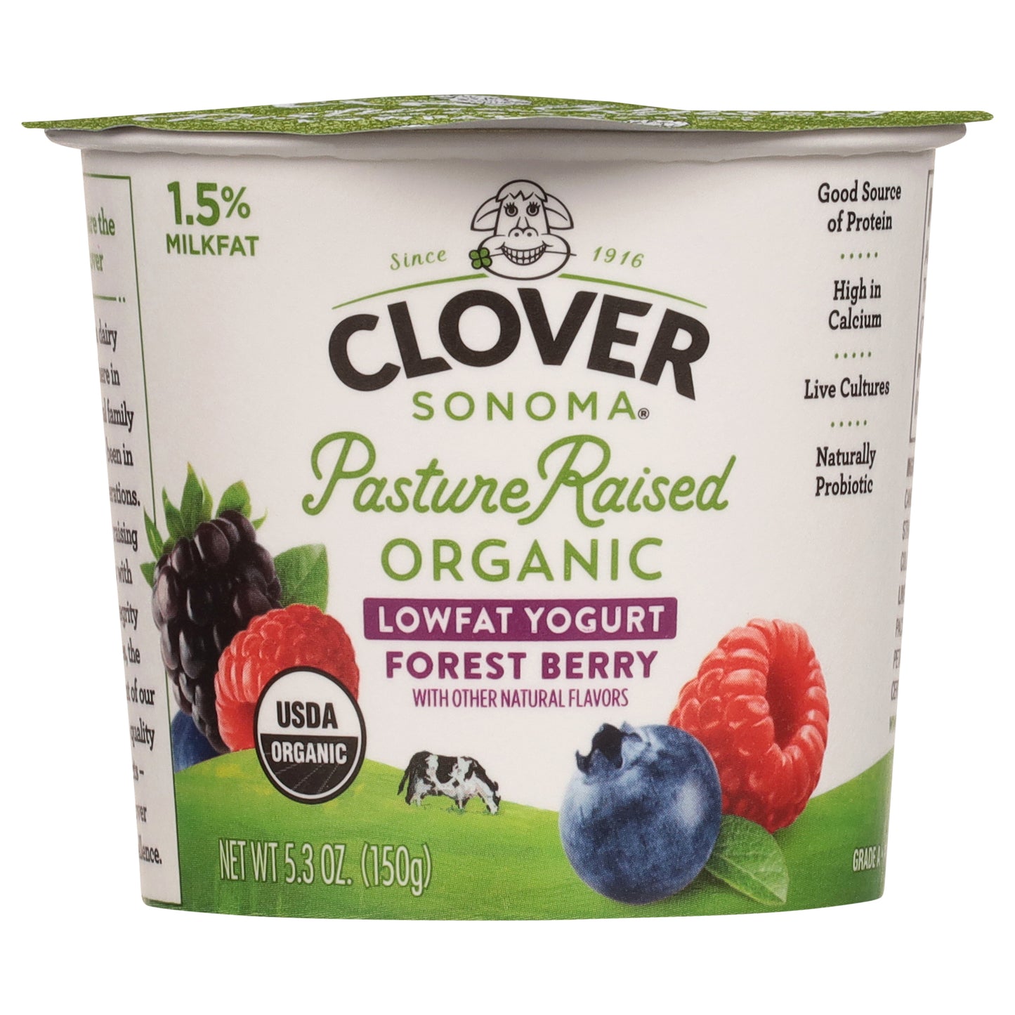 Clover Sonoma Organic Lowfat Forest Berry Yogurt 5.3 oz