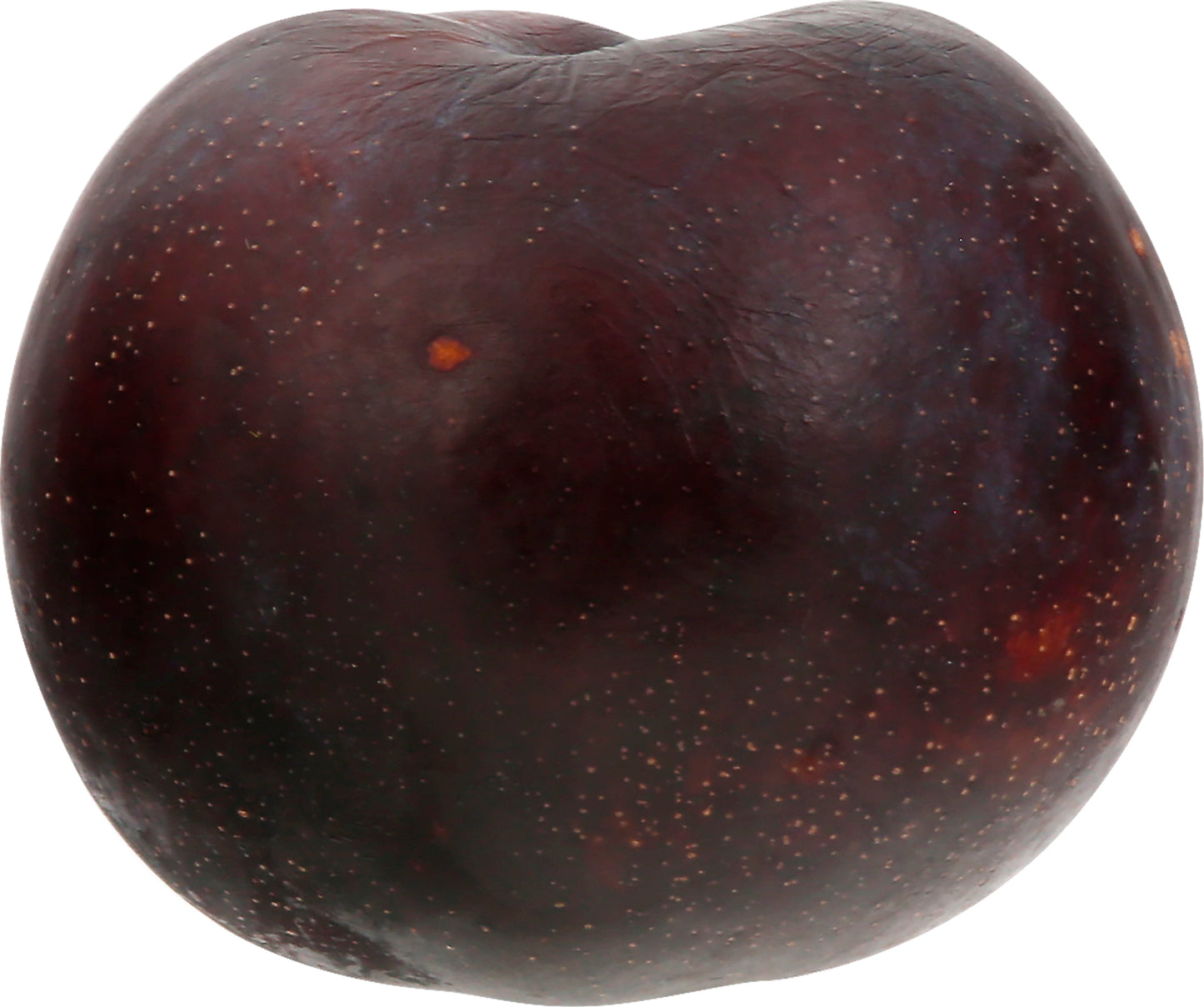 Black Plums - Small