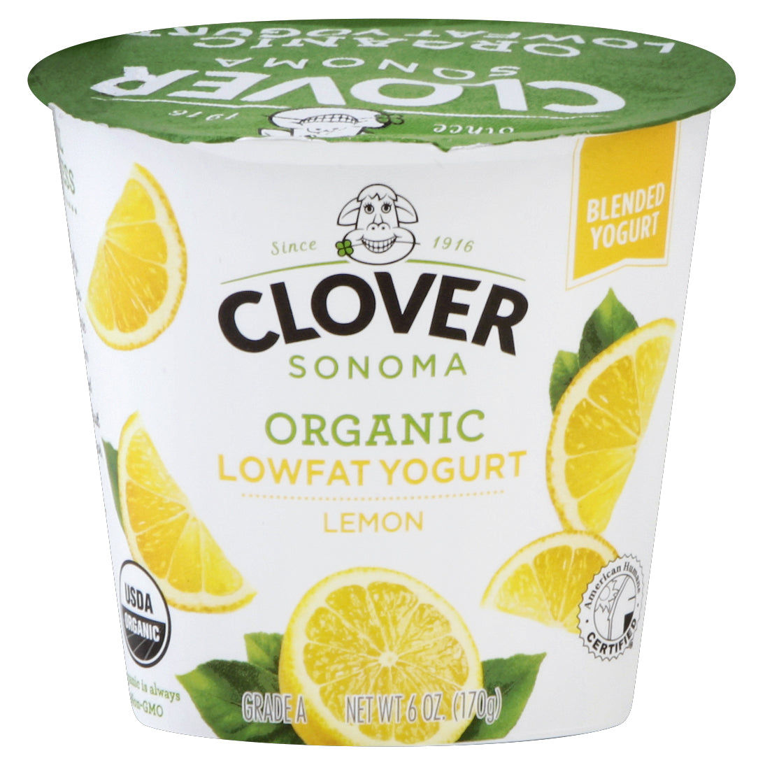 Clover Yogurt 6 oz