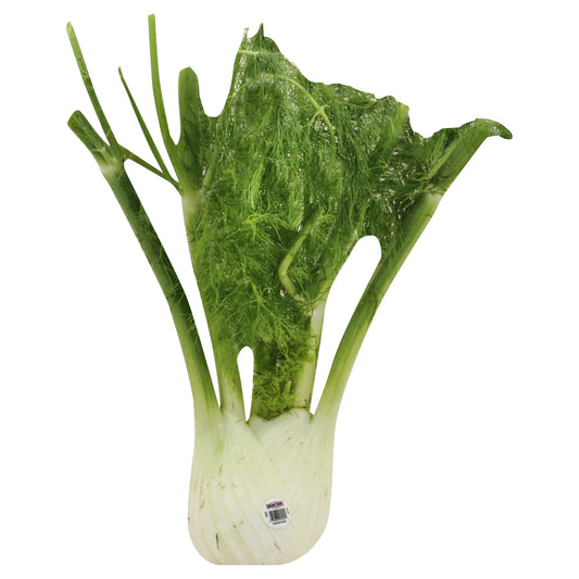 Fennel Anise