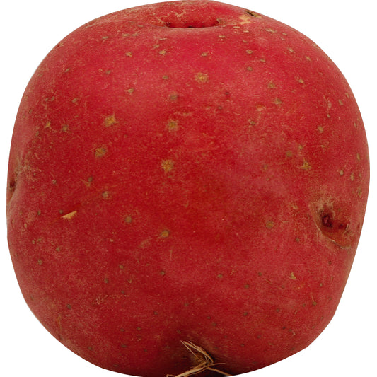Red Large Potato